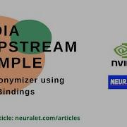NVIDIA DeepStream Example A Face Anonymizer Using Python Bindings