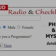 Checkbox Radio CRUD Using PHP MySQL Database 1 Create