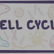 Cell Cycle Microbiology Biology Physiology