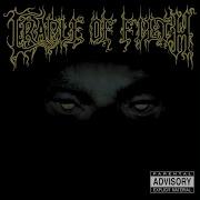 Death Comes Ripping