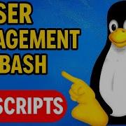 Управление пользователями и разрешениями в Bash