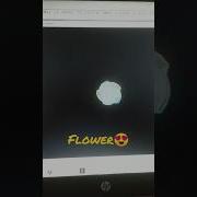 Python Python Fun Code Flower