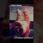 Computer 2022 Lates Shorts Shorts Techguraini Funny