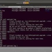 Basics Of Linux Command Line Utilities In Hindi Language