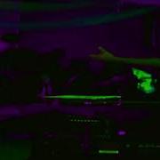 WIFExFUCKER San Diego CA 10 22 22