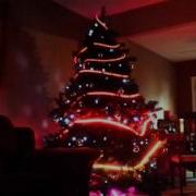 Xmas Tree 2015