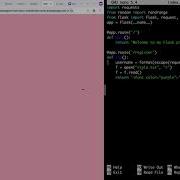 Python Flask XSS Escape Characters SQL Injection Cross Site Scripting OWASP Web Security
