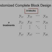 Randomized Complete Block Design