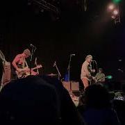 Cap N Jazz Basil S Kite Denver CO 2025