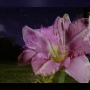 FREE Sewerperson X Skele X Alternative Indie Type Beat Bad Mood Prod Secre X Jolst