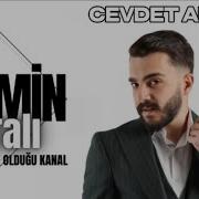 Cevdet Arslan AHU SARMIŞ DALLARDA