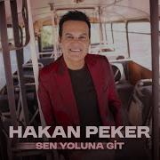 Sen Yoluna Git