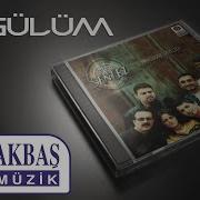 Grup Sentez Oy Gülüm