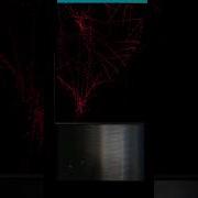 How Developer Heart Beat Looks JavaScript Canvas JavaScript Tutorials HTML5 Canvas Shorts