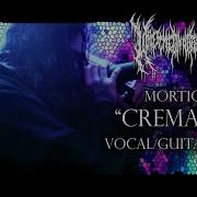 MORTICIAN Cremated VOCAL GUITAR COVER BY WHS