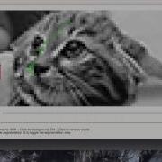 Interactive Image Segmentation GUI Demo