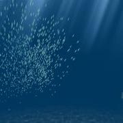 Unity Flock Deform Particle System