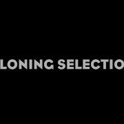 AnimVR Shortcuts Cloning Selection