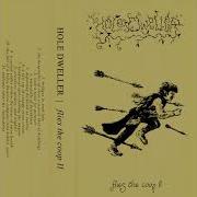 Hole Dweller Flies The Coop II 2020 Dungeon Synth Fantasy Synth