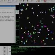 Simple Particles Systems In C And SDL2 Mini Explosions