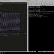 Timelapse Raw Shellcode Injection Using C