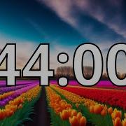44 Minutes Timer With Music Spring Timer