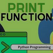 19 Print Function Python Programming Sinhala