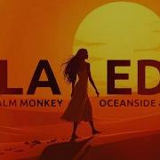 Palm Monkey Oceanside MOWA Ala Ede Official Lyric Video