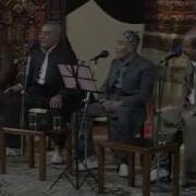 Hamay Nergz Limo Hay Limo حەمەی نێرگز لیمۆ هەی لیمۆ