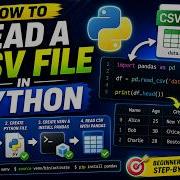Как прочитать CSV файл в Python чтение CSV с помощью Pandas в Python