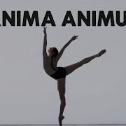 Anima Animus Trailer The National Ballet Of Canada