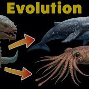 Worm Whale Vs Octopus Which Evolution Wins Morph Edu