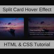 Split Card Hover Effects CSS Online Tutorial CSS Animation
