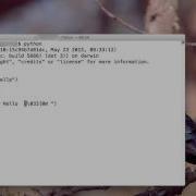 Using ANSI Color Codes With Python In OSX S Terminal
