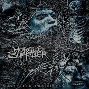 Morgue Supplier USA Mastering The Disease Album 2026