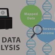 4 Next Generation Sequencing NGS Data Analysis