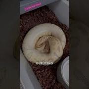 КАК МЫ РАЗВОДИМ ШАРОВИДНЫХ ПИТОНОВ