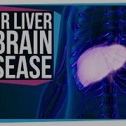 How Liver Problems Can Lead To Brain Disease