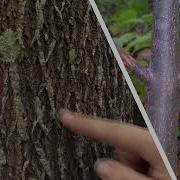 EAB Explained