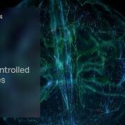 Сила мысли исследование разработки интерфейса мозг компьютер Mouser Electronics
