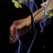Botanicus Interacticus SIGGRAPH 2012 Exhibition