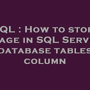SQL How To Store Image In SQL Server Database Tables Column