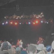 Beirut Live Bonnaroo 2011