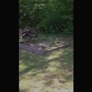 S W 500 Magnum Vs Watermelon