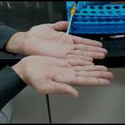 Hand Swab
