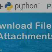 Salesforce API In Python Download Attachments Record Files Attachments