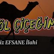 Çöl Çiçeğim Hasret Ve Huzurun Sesi Müziksiz İlahi Ömer Faruk Demirbaş