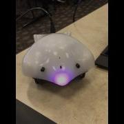 Programming Finch Robots Using Snap