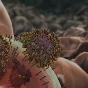 Influenza Animation