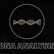 How Does DNA Analysis Work